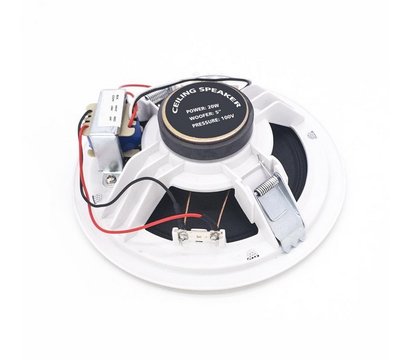 Зображення 2 Гучномовець Sky Sound S-2630TW внутрішній