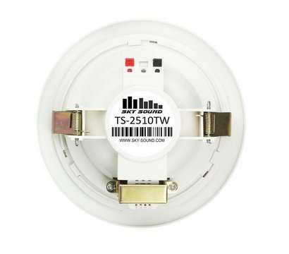 Зображення 2 Гучномовець стельовий Sky Sound TS-2510TW