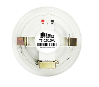 Изображение 2 Громкоговоритель Sky Sound TS-2510W внутренний