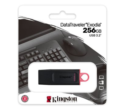 Зображення 3 Накопичувач USB Kingston DataTraveler Exodia Black/Pink 256GB USB 3.2 - DTX/256GB