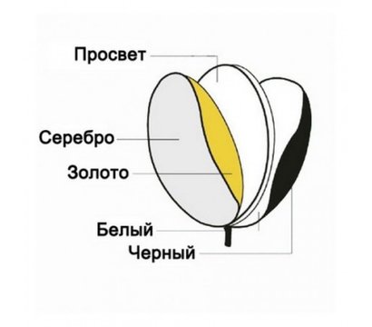 Изображение 2 Оборудование для фотостудий Visico RD-024 5 в 1 (56см)