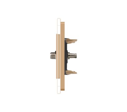 Изображение 3 Розетка Livolo VL-C791ST-13 SAT Gold glass