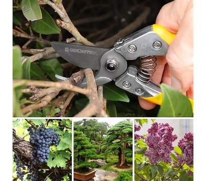 Изображение 3 Секатор Gruntek Phoenix 200 мм - 295200018