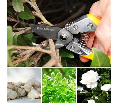 Изображение 4 Секатор Gruntek Phoenix 200 мм - 295200018