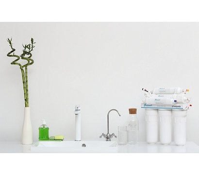 Зображення 18 Очищувач води Ecosoft Standard 6-50M