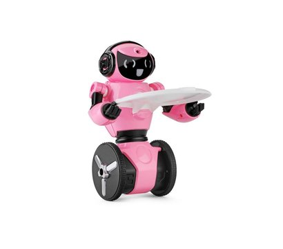 Изображение 3 Радиоуправляемая игрушка WL Toys WL-F1p