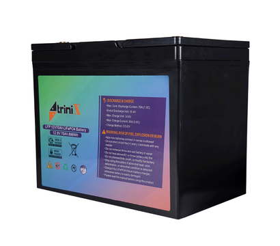 Зображення 3 Lifepo4 акумулятор Trinix LFP 70.0 Ач, 12В