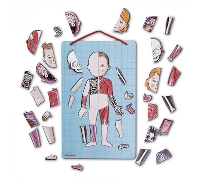 Зображення 2 магнітний набір Janod Тело человека - J05491