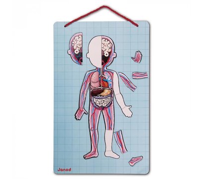 Зображення 3 магнітний набір Janod Тело человека - J05491