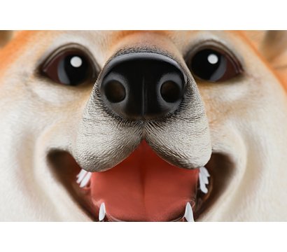 Зображення 3 Ігровий набір Same Toy Собачка Акита - X325UT