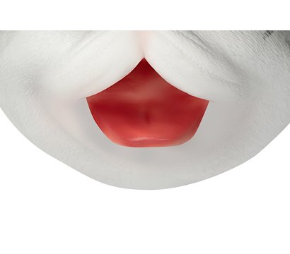 Изображение 5 Игровой набор Same Toy Кіт - X336UT