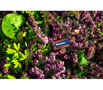 Зображення 3 Батарейка Panasonic Alkaline Power Krona/6LR61 BL 1 шт