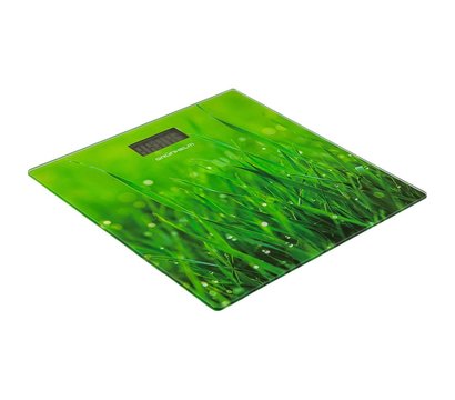 Изображение 3 Весы электронные Grunhelm BES-GRA10