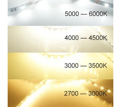 Зображення 3 LED стрічка Prolum SG 2835-120 IP20 12V 9000-10000К, cold white на 1300 Лм