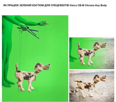 Зображення 7 Фон для фото Visico CB-XL Chroma Key Body, 175-185см