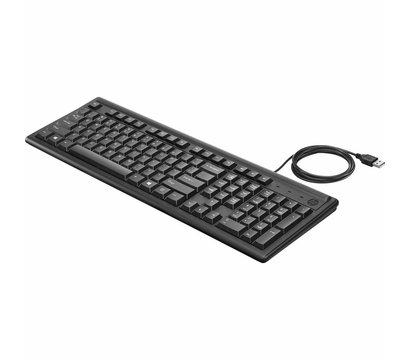 Изображение 2 Клавиатура HP 100 USB Black – 2UN30AA