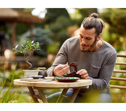 Изображение 3 Конструктор Lego Creator Expert Дерево бонсай - 10281