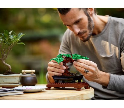 Изображение 5 Конструктор Lego Creator Expert Дерево бонсай - 10281