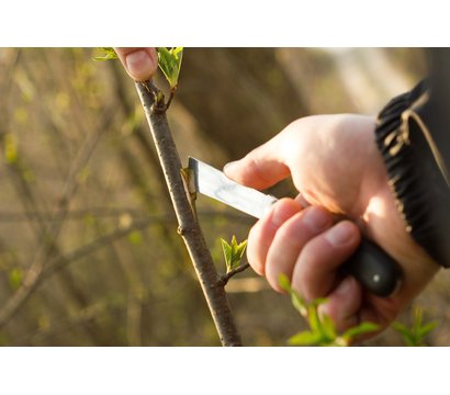 Изображение 2 Cellfast 220 мм - 40-262