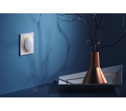 Изображение 2 Умная розетка Fibaro Walli N Outlet type F — FGWSONF-011 белый цвет