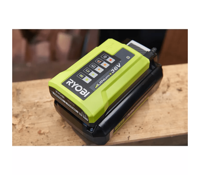 Изображение 3 Зарядное устройство Ryobi RY36C17A