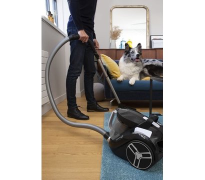 Изображение 28 Пылесос Rowenta RO4B25EA