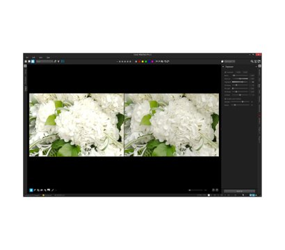 Изображение 2 Графическое ПО Corel AfterShot Pro 3 ML EN/DE Windows/Mac/Linux - ESDASP3MLPC