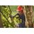 Зображення 3 Акумуляторна ланцюгова пила Ryobi ONE+ HP RY18PSX15A (5133005899)