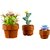 Зображення 4 Конструктор Lego Icons Botanicals Маленькие цветы (10329)