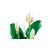 Зображення 6 Конструктор Lego Botanicals Спатифиллум (11504)