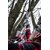 Зображення 3 Секатор Einhell GP-LS 18/35 Li BL (3408360)