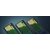 Зображення 6 Клавіатура Razer BlackWidow V4 Low-Profile Green switch (RZ03-05270100-R3M1)