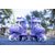 Зображення 4 для дітей Yvolution Twista Skates 30-33 Purple (YC03E4)