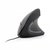 Изображение  Мышь Gembird MUS-ERGO-01 USB Black