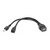 Зображення  Кабель Cablexpert  OTG USB2.0 A/microUSB 0.15 м - A-OTG-AFBM-04