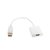 Зображення  Адаптер PowerPlant DisplayPort-HDMI, 0.15м, White — KD00AS1236