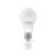 Изображение 2 LED лампа Titanum A60 12W E27 4100K (TLA6012274) на 100 Вт
