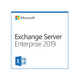 Изображение  Серверное ПО Microsoft Exchange Server Enterprise 2019 User CAL Charity, Perpetual - DG7GMGF0F4MD_0004CHR