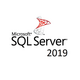 Изображение  Серверное ПО Microsoft SQL Server 2019 - 1 Device CAL Commercial, Perpetual - DG7GMGF0FKZW_0002
